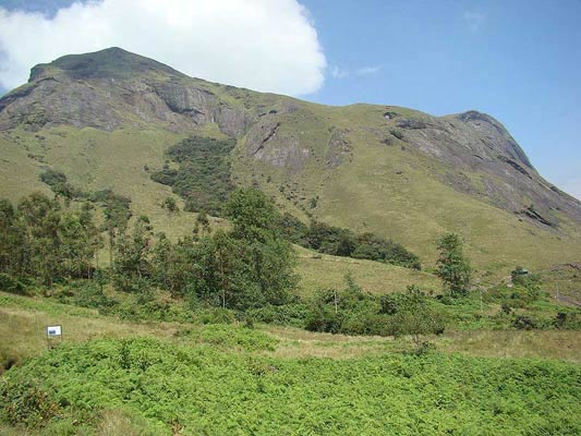 AnamudiSholaNationalPark (1)